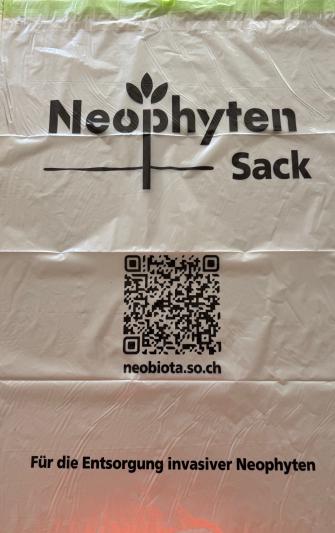 Neophytensack